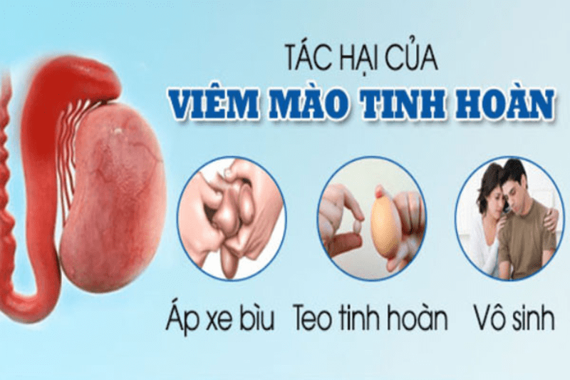 các bệnh về dương vật